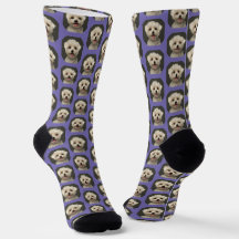 Pet Photo on Lavanda Trendy Custom (Pet Photo na T