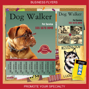 Pet Sitting Service Dog Walker Business Flyer Anú