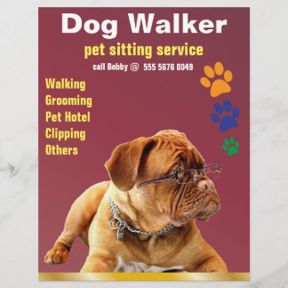 Pet Sitting Service Dog Walker Folheto Confiável
