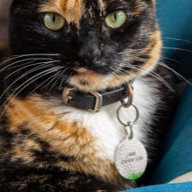 Bola de Golfe na Grama Personalizada