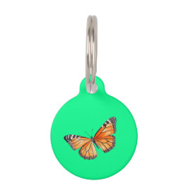 Pet Tag Borboleta verde lima