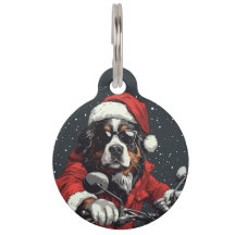 Cachorro da Montanha Bernese de Natal