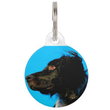 Cão Munsterlander.