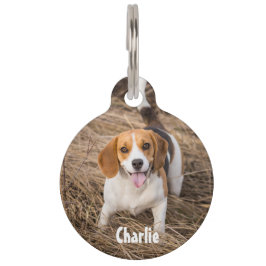 Pet Tag Etiqueta Pet Redonda de Foto e Texto Personalizado
