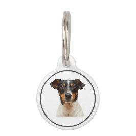 Pet Tag Etiquetas de ID de cão personalizadas com nome e i