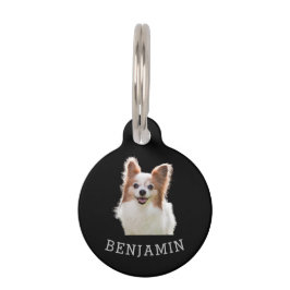 Pet Tag Etiquetas de ID de cão personalizadas com nome e i