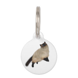 Pet Tag Gato de Cabelo Longo do Siamese