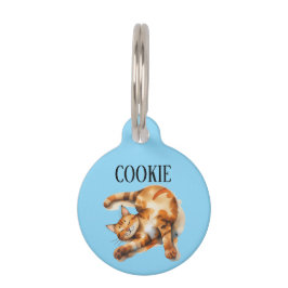Pet Tag Gato Laranja Personalizado 