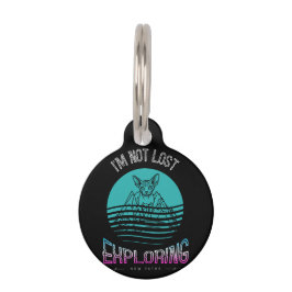 Pet Tag Gato Sphynx Personalizado Divertido 