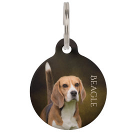 Pet Tag Lebreiro