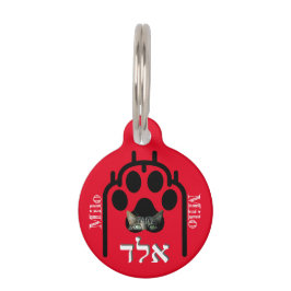 Pet Tag Placa para macotas Pequeña, ¨b'li ayin hara¨