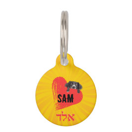 Pet Tag Placa para mascotas, Pequeña, ¨b'li ayin hara¨