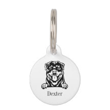 pulseira personalizada com nome para cão rottweile