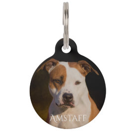 Pet Tag Staffordshire Terrier americano