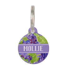 Uvas Botânicas Nome e endereço de aquarela