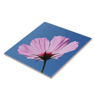 Pétalas cor-de-rosa