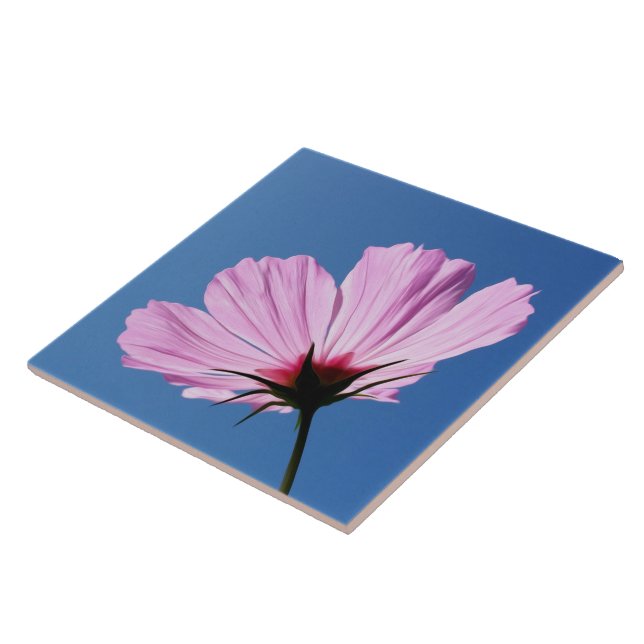 Pétalas cor-de-rosa (Lateral)