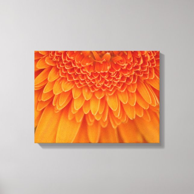 Pétalas de Flor - Canvas (Frente)