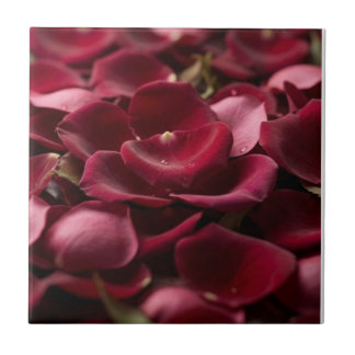 Pétalas de Rosa Vermelho Intenso Azulejo Cerâmico 