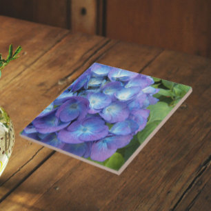 Pétalas Florais de Hortênsia Azul