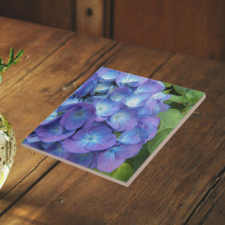 Pétalas Florais de Hortênsia Azul