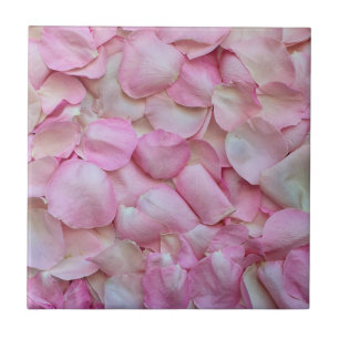 Pétalas Rosa Rosa Rosa Rosa Rosa Rosa Rosa Rosa Ro