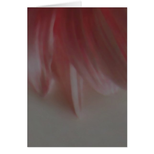 Petals ~ Placa / Convites (Frente)