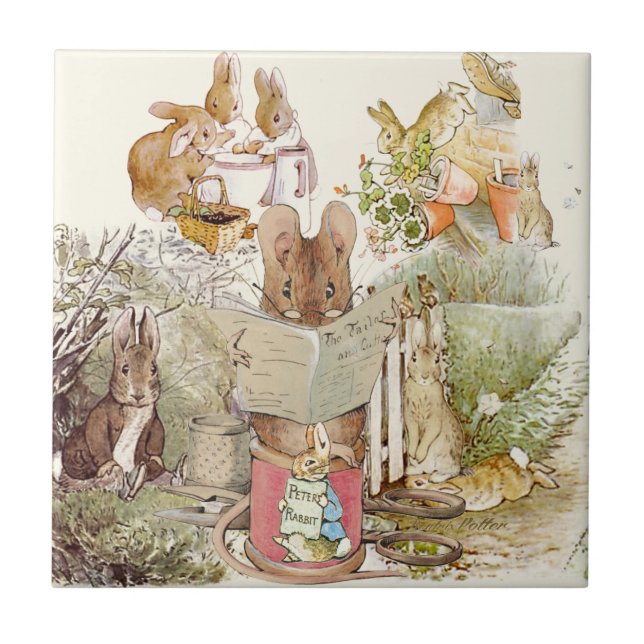 Peter Rabbit Beatrix Potter Collage (Frente)