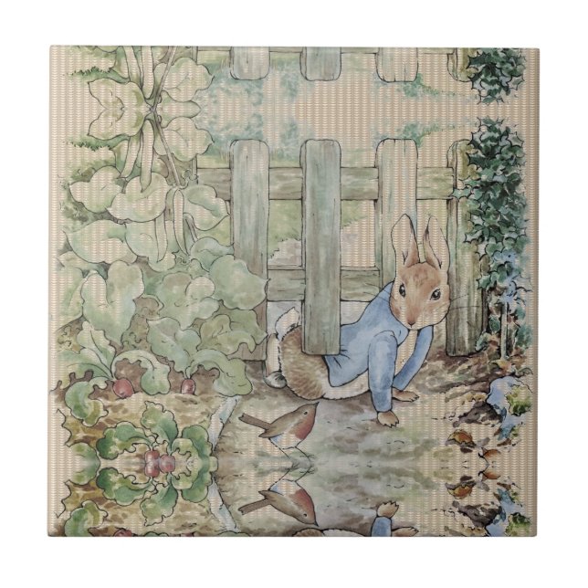 Peter Rabbit Beatrix Potter Sneaking (Frente)