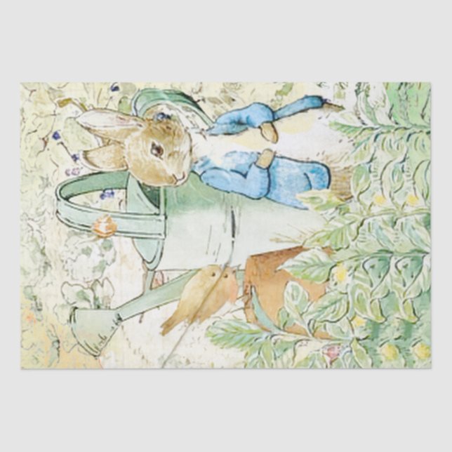 Peter Rabbit e o Papel Tecido de Pássaros (Frente )