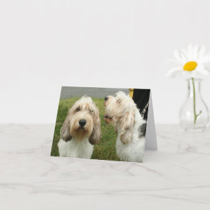 Petit Basette Griffon Vendeen - Cartão de Vazio