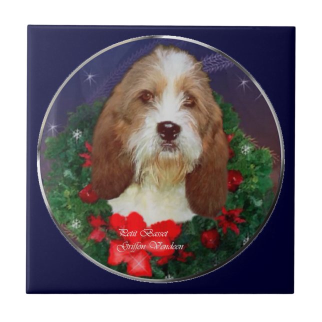 Petit Basset Griffon Vendeen (Frente)