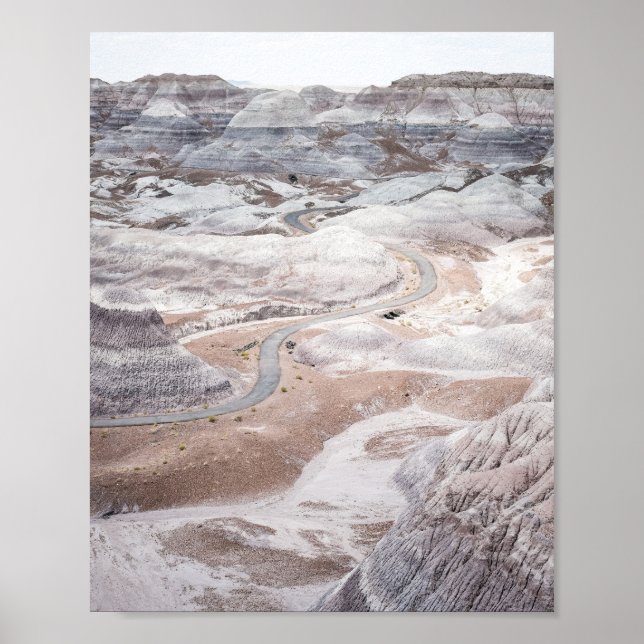 Petrified Forest, Desolate Landscape Photo Poster (Frente)
