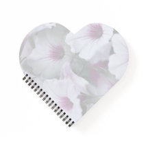Petunias Brancas E Rosa
