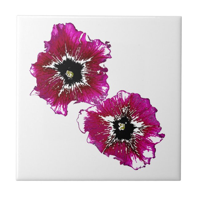 Petúnias de Verão (Frente)