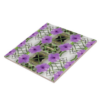 Petunias mexicanas e trabalhos de tercearia