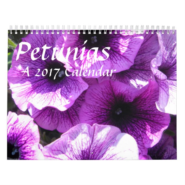 Petúnias - um calendário 20XX (Capa)