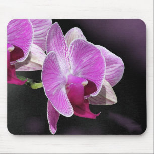 Phalae Mousepad Orquídeo