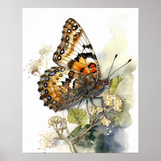 Phaon Crescent Butterfly Art Impressão (Frente)