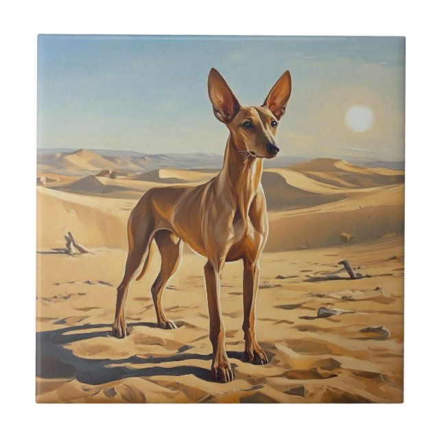 Pharaoh Hound (Frente)