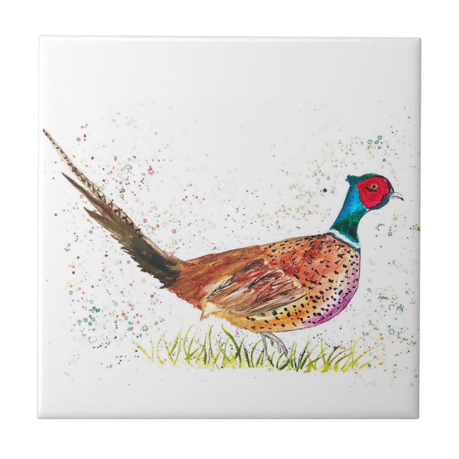 Pheasant Bird Willife Color (Frente)