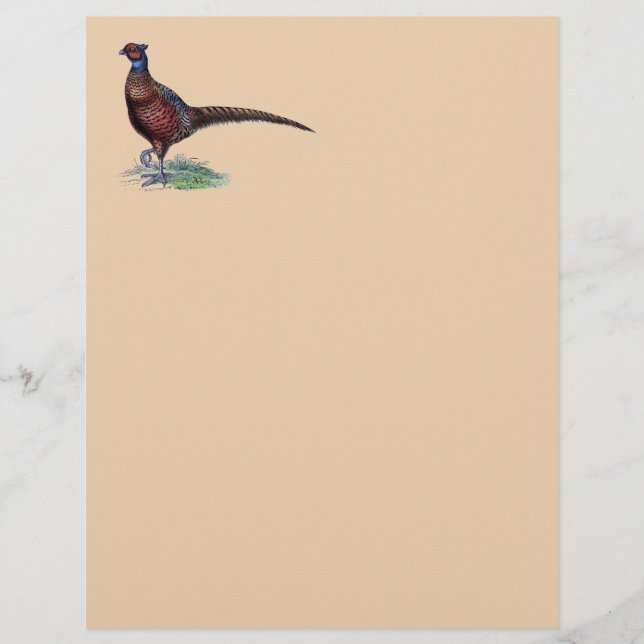 Pheasant Strutt (Frente)