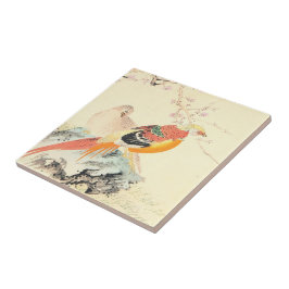 Pheasants Chineses Imao Keinen aves e sakura