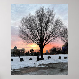 Philadelphia Snowy Sunset com Poster de Árvore