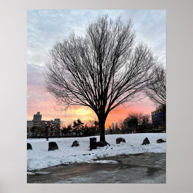 Philadelphia Snowy Sunset com Poster de Árvore (Frente)