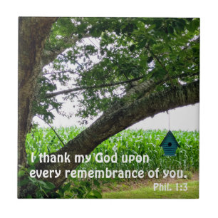 Philippians 1:3 Eu obrigado meu Deus em todos 