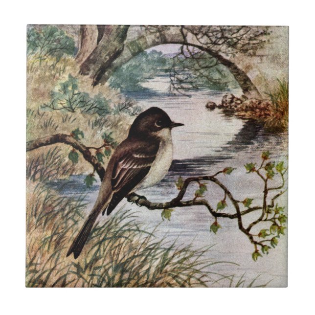 Phoebe e ponte de pedra sobre a angra (Frente)