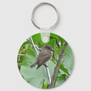 Phoebe Flycatcher Chaveiro
