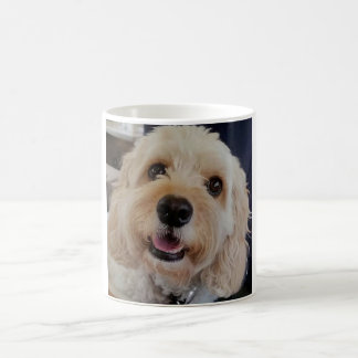 PhoebethePrincess Cavapoo em uma caneca branca