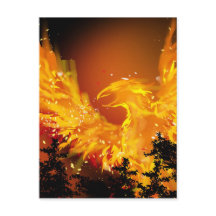 Phoenix no cartão postal de voo